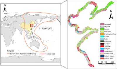 Combining Bootstrapping Procedure and Citizen Science Data to Elucidate Waterbirds’ Dependence on Coastal Wetland